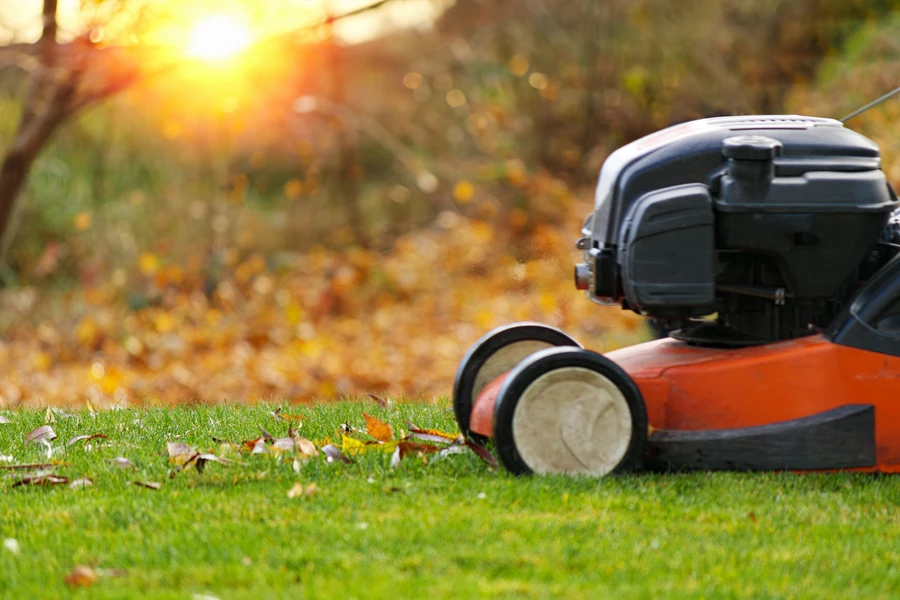 How Lawn Care Services Keep Your Yard Healthy Year-round in Hinsdale, IL How Lawn Care Services Keep Your Yard Healthy Year-round in Hinsdale, IL