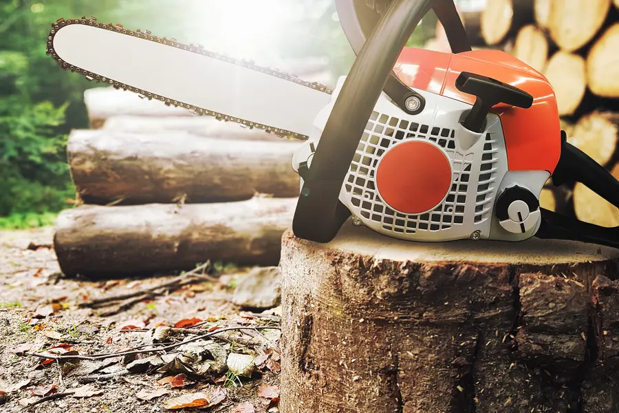 How Tree Services Can Improve Your Yards Curb Appeal in Hinsdale, IL How Tree Services Can Improve Your Yards Curb Appeal in Hinsdale, IL