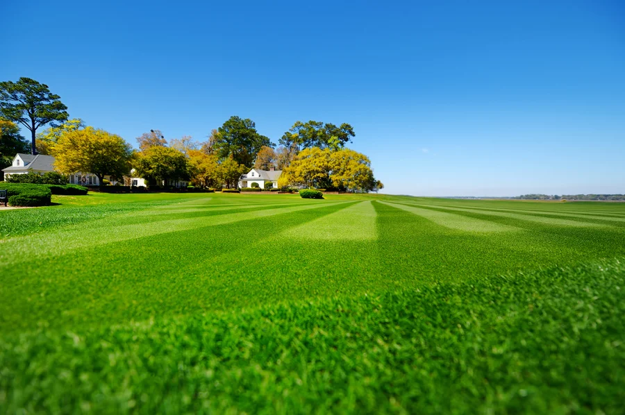 The Importance Of Seasonal Lawn Care For Long-term Health in Hinsdale, IL The Importance Of Seasonal Lawn Care For Long-term Health in Hinsdale, IL