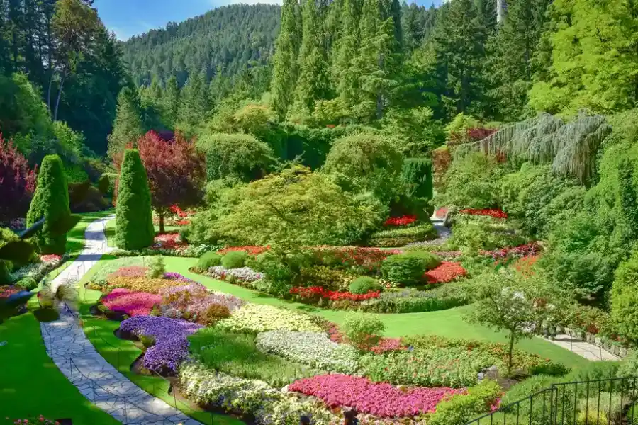 The Key Elements Of Effective Landscape Design Services Hinsdale, IL The Key Elements Of Effective Landscape Design Services Hinsdale, IL
