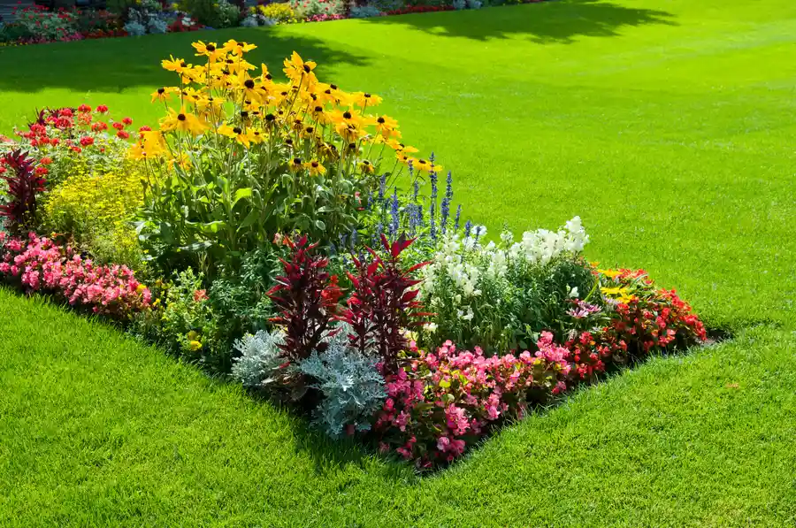 Transform Your Yard With Expert Landscape Design Services Hinsdale, IL Transform Your Yard With Expert Landscape Design Services Hinsdale, IL